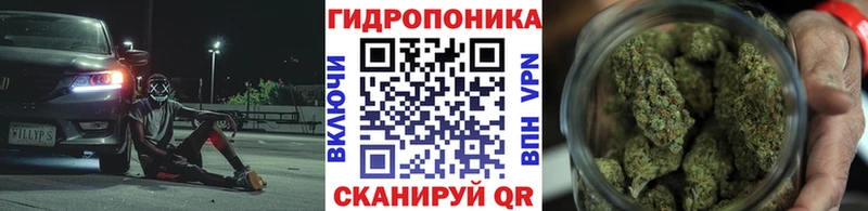 Виды наркотиков купить Неман Cocaine Мефедрон A PVP Бошки Шишки