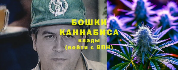 прущие грибы Семёнов